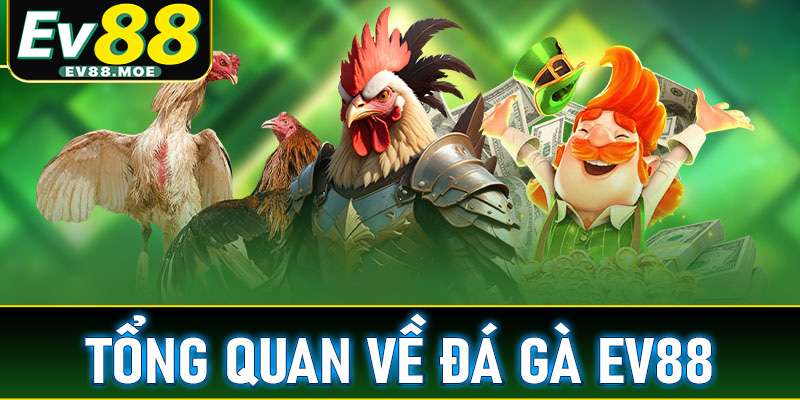 Tổng quan chung về sàn cá cược đá gà EV88