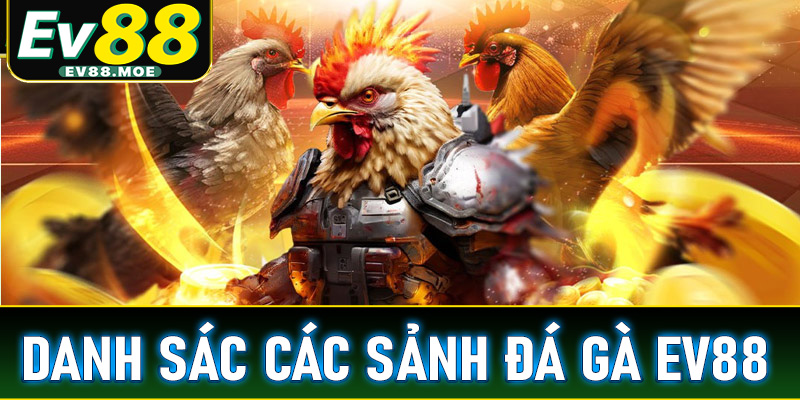 Danh sách các sảnh cá cược đá gà EV88 được ưa chuộng nhất trên thị trường