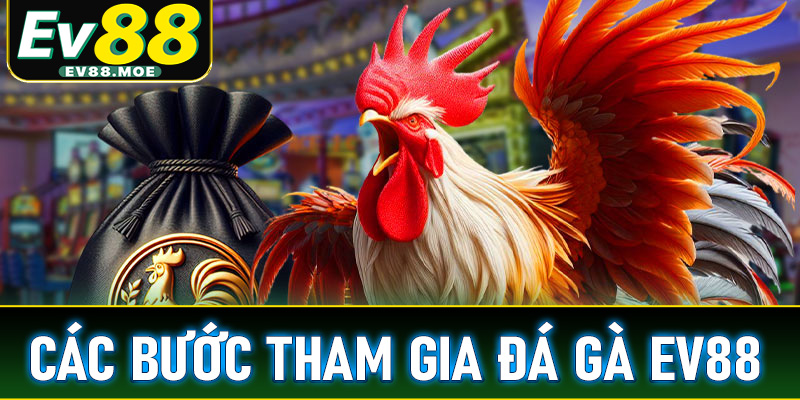 Hướng dẫn chi tiết các bước tham gia cá cược đá gà EV88